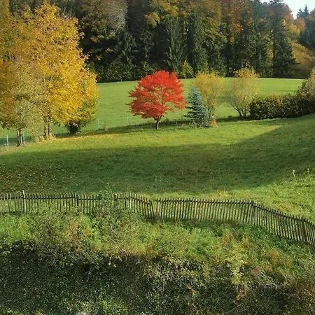 Haus Am Baderbach *